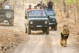 Secure Sasan Gir Jeep Safari Booking For Wildlife Sighting